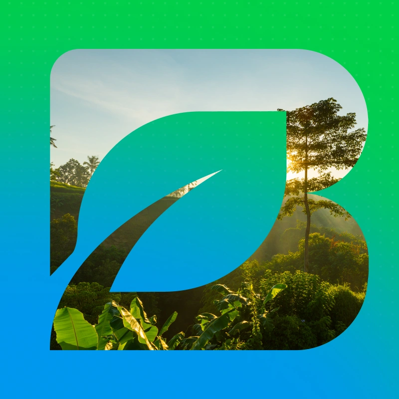 Branco Ambiental rebranding case by WDA ag