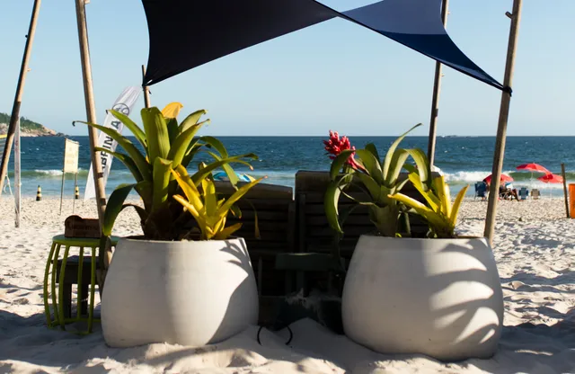 Mesas, plantas e cobertura de tecido sobre a areia da praia.