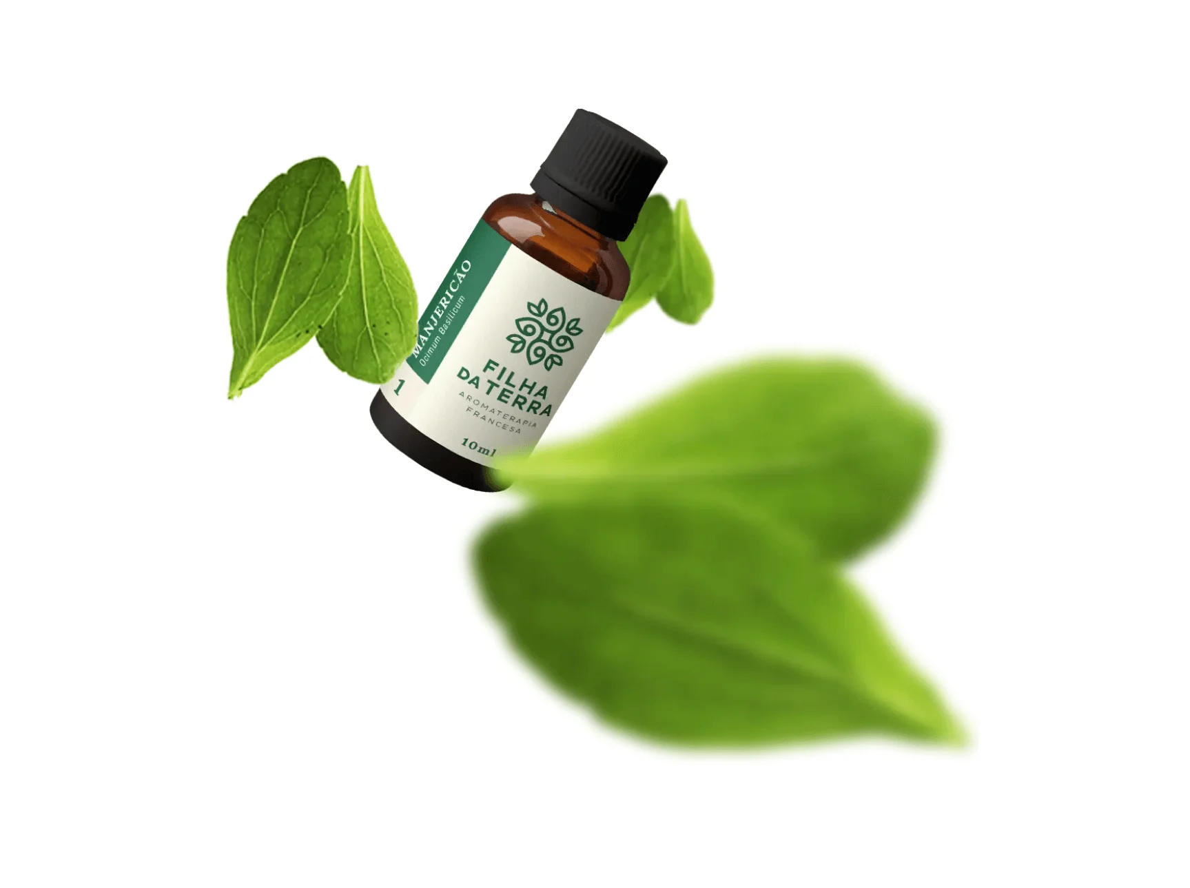 Óleo essencial de manjericão da Filha da Terra entre folhas frescas.