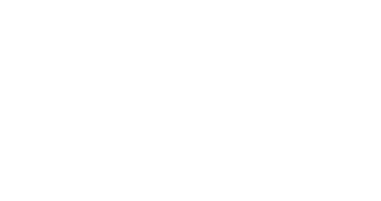 FGV