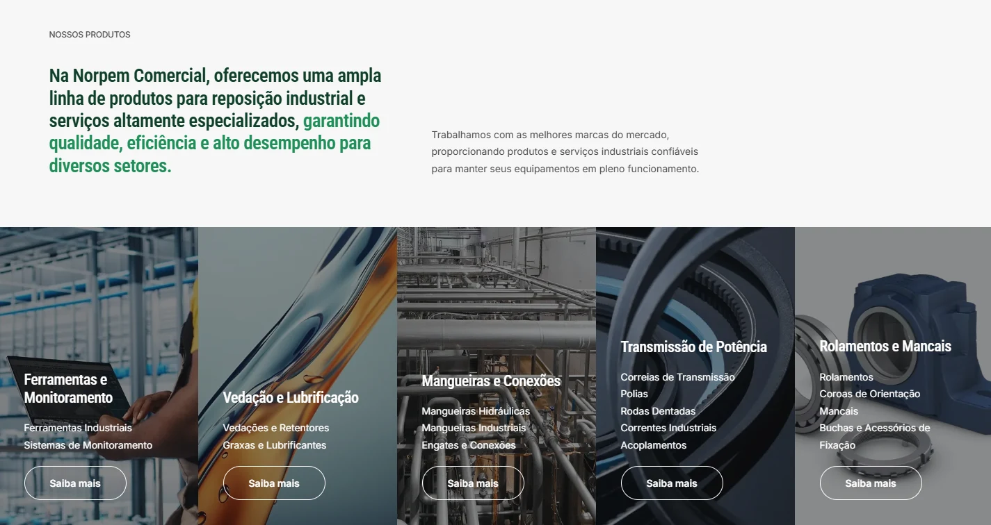 Seção de produtos da Norpem com cinco famílias: Ferramentas e Monitoramento, Vedação e Lubrificação, Mangueiras e Conexões, Transmissão de Potência e Rolamentos e Mancais.