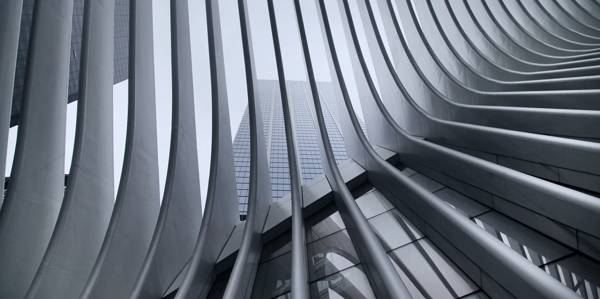 Fotografia de arquitetura com linhas curvas e fachadas verticais, usada na identidade digital da Paramis Capital.